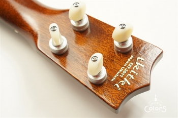 HM-C20 Concert -TR10th Anniversary Model- #361